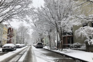 Snow-covered street lined with frosted trees and parked cars on a winter day.
