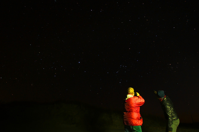 Person in a red jacket stargazing under a star-filled night sky.