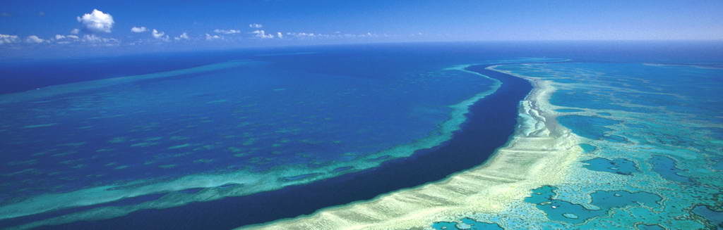 Aerial view of a turquoise ocean meeting a sandy shoreline under a clear blue sky.