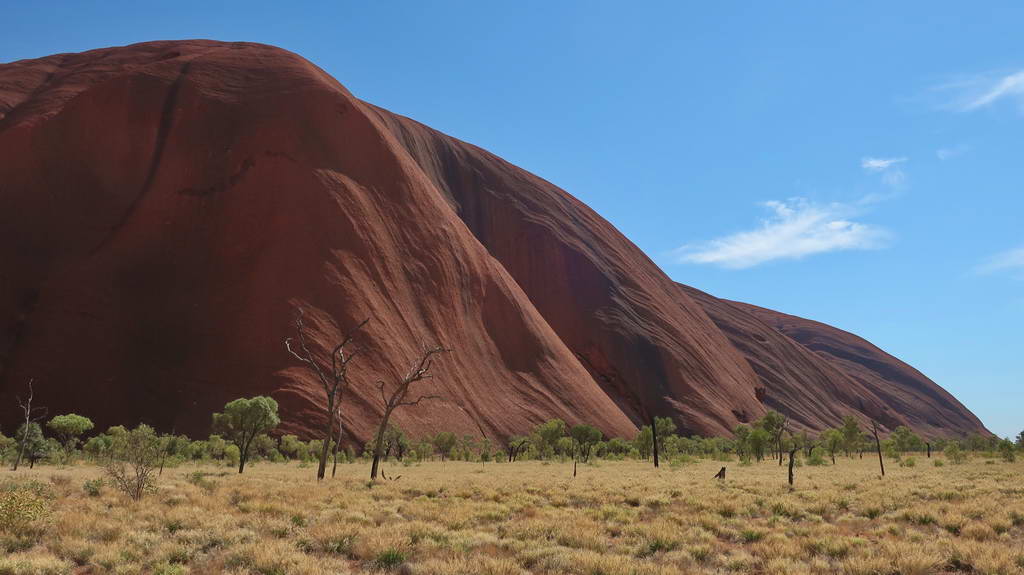 Oceanogràfic de València