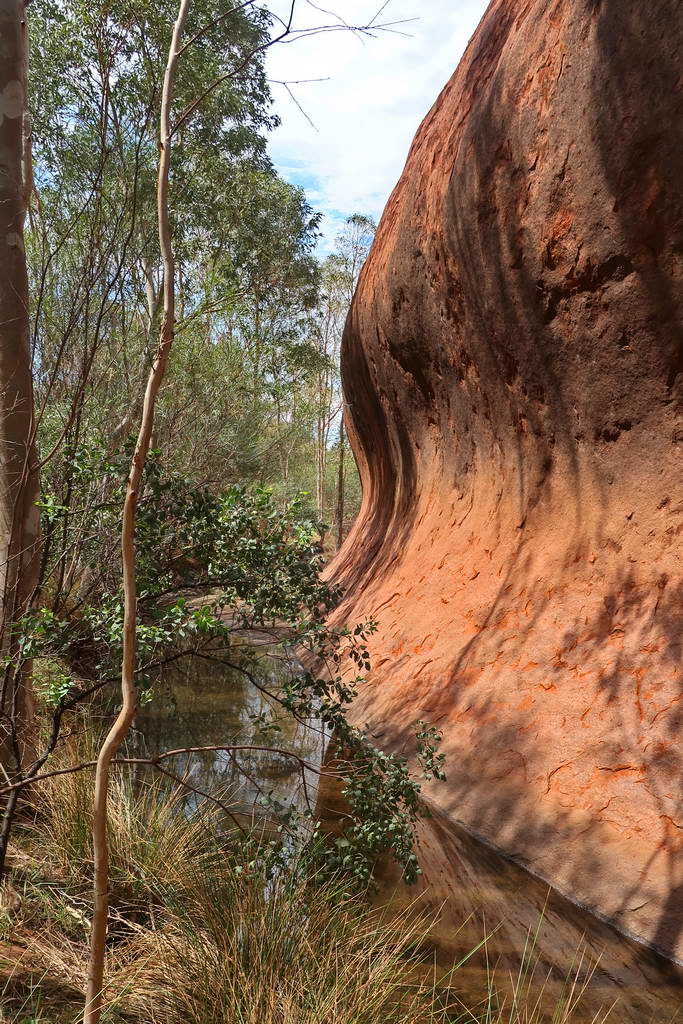 Rocky red cliff beside a small water stream surrounded by trees.