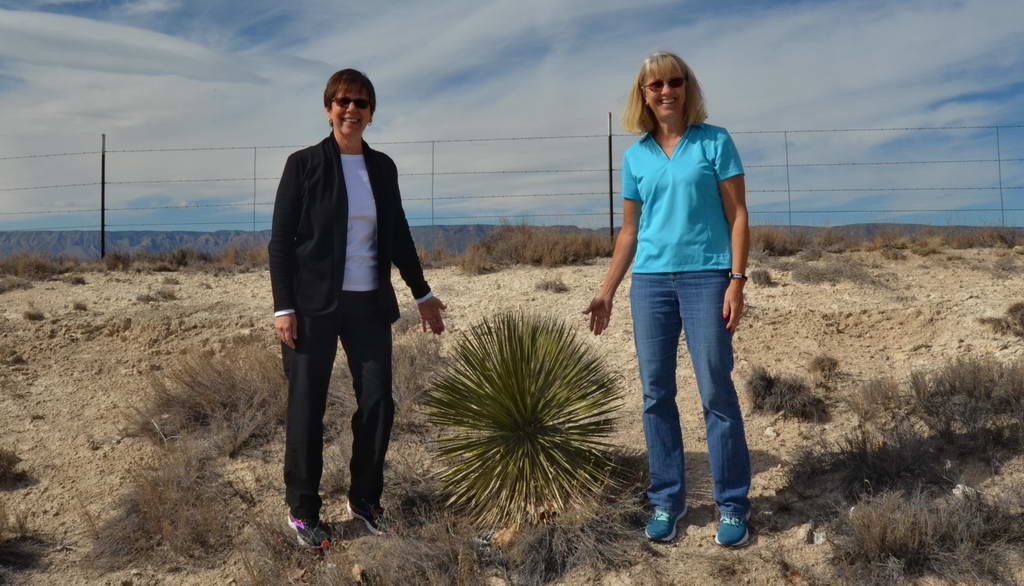 Two women standing in a desert landscape with a plant between them.