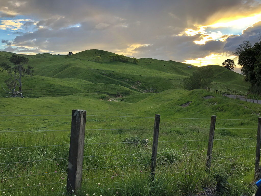 Rolling green hills under a cloudy sky at sunset.