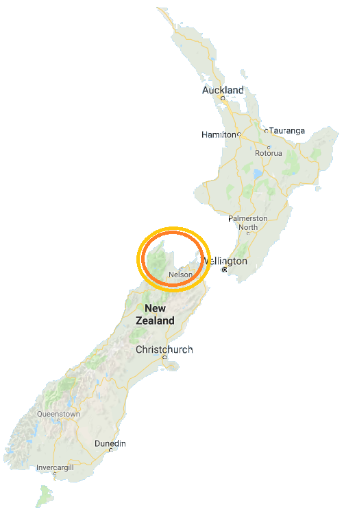 Map highlighting Wellington, New Zealand's capital on the North Island.