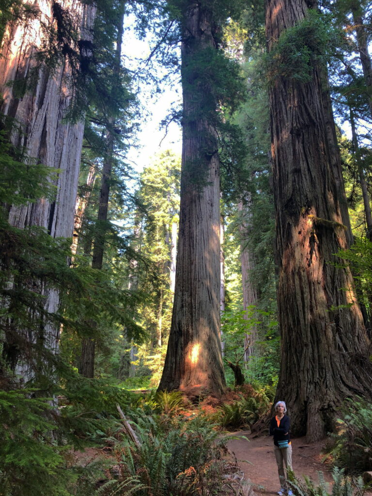 A lush green valley with a river flowing through mountainous terrain under a cloudy sky.