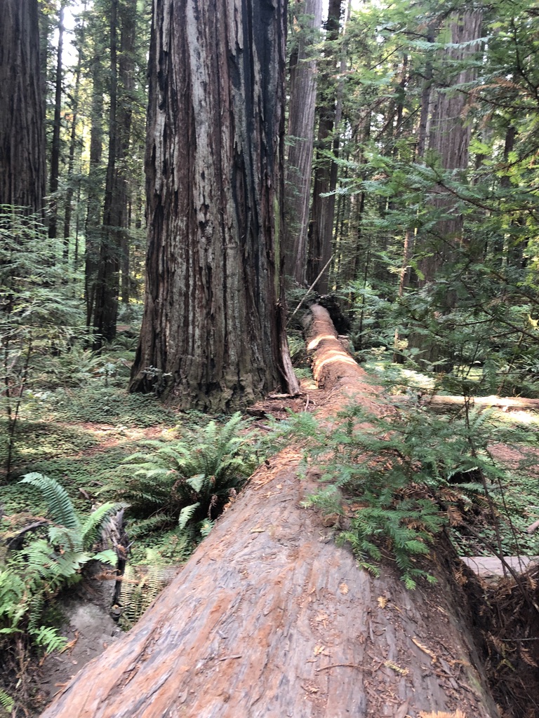 Step Three – Hit the road