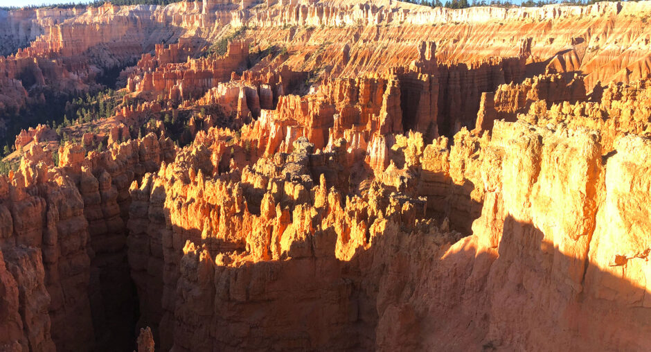 Sunlit hoodoos in a canyon under a blue sky.