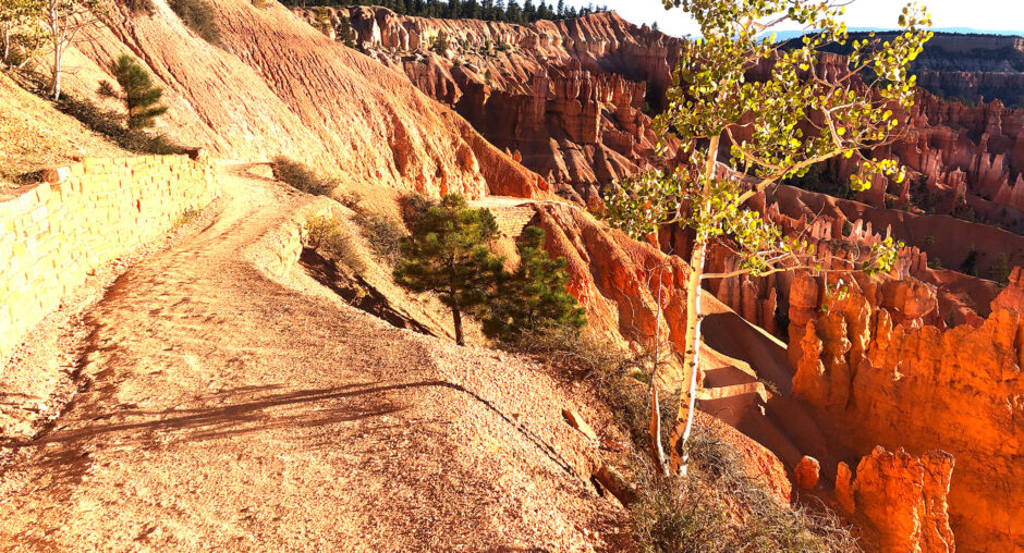 Scenic hiking trail along a rocky cliff with autumn trees.