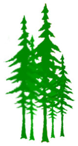 A lush green valley with a river flowing through mountainous terrain under a cloudy sky.