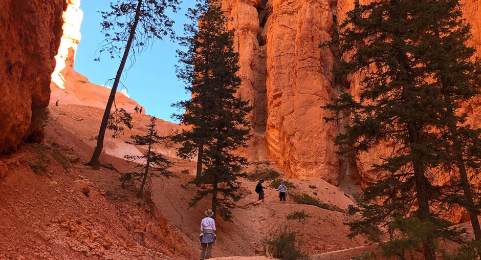 Hiker walking along a trail surrounded by towering red rock formations and pine trees.