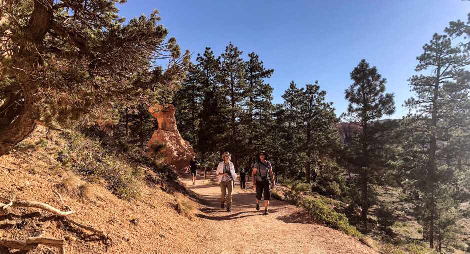 Two hikers walking along a forest trail with a dog on a sunny day.