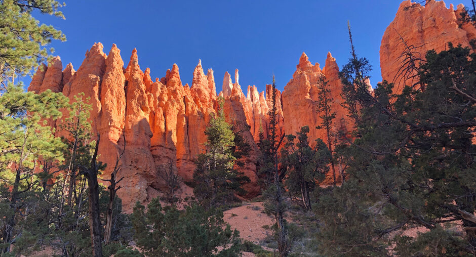 Orange rock spires rise against a clear blue sky with trees below.
