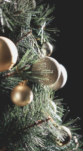 A lush green valley with a river flowing through mountainous terrain under a cloudy sky.