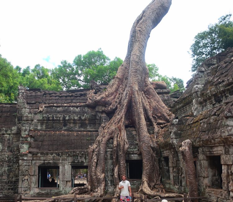 Ancient tree roots engulf a stone temple, blending nature and history.