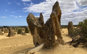 Limestone pinnacles at Nambung National Park.