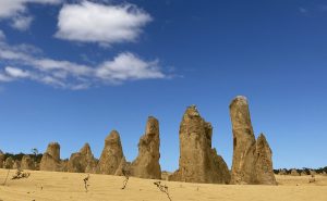 Limestone pinnacles rising from desert sand.